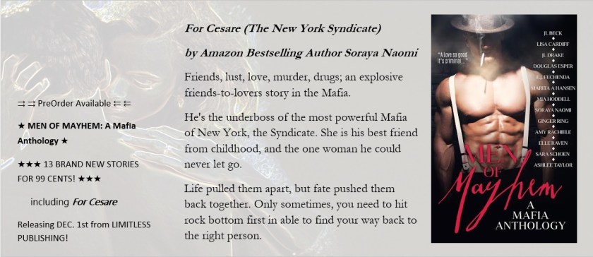 Teaser For Cesare by author Soraya Naomi Men of Mayhem